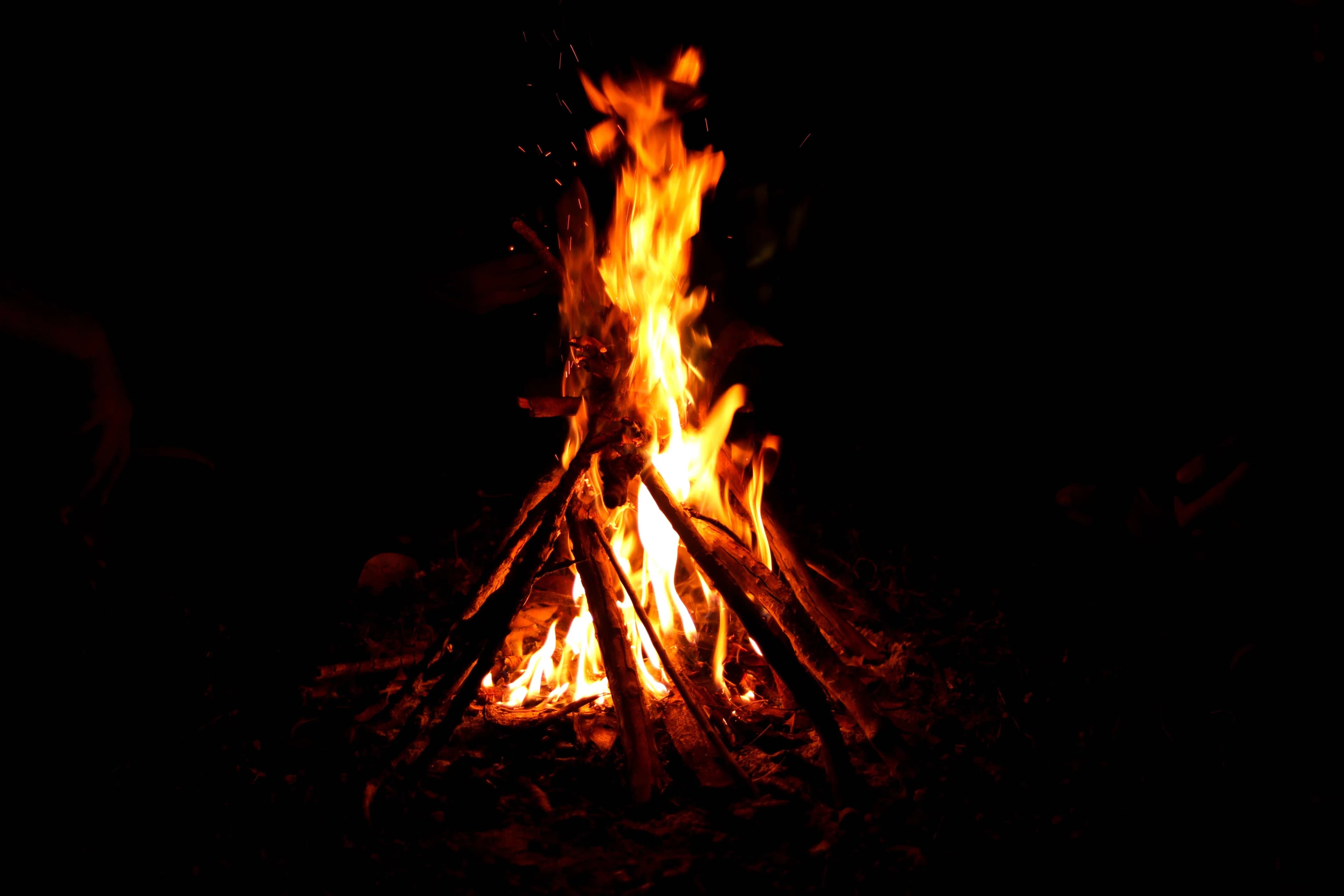 Evening campfire gathering and bush dining