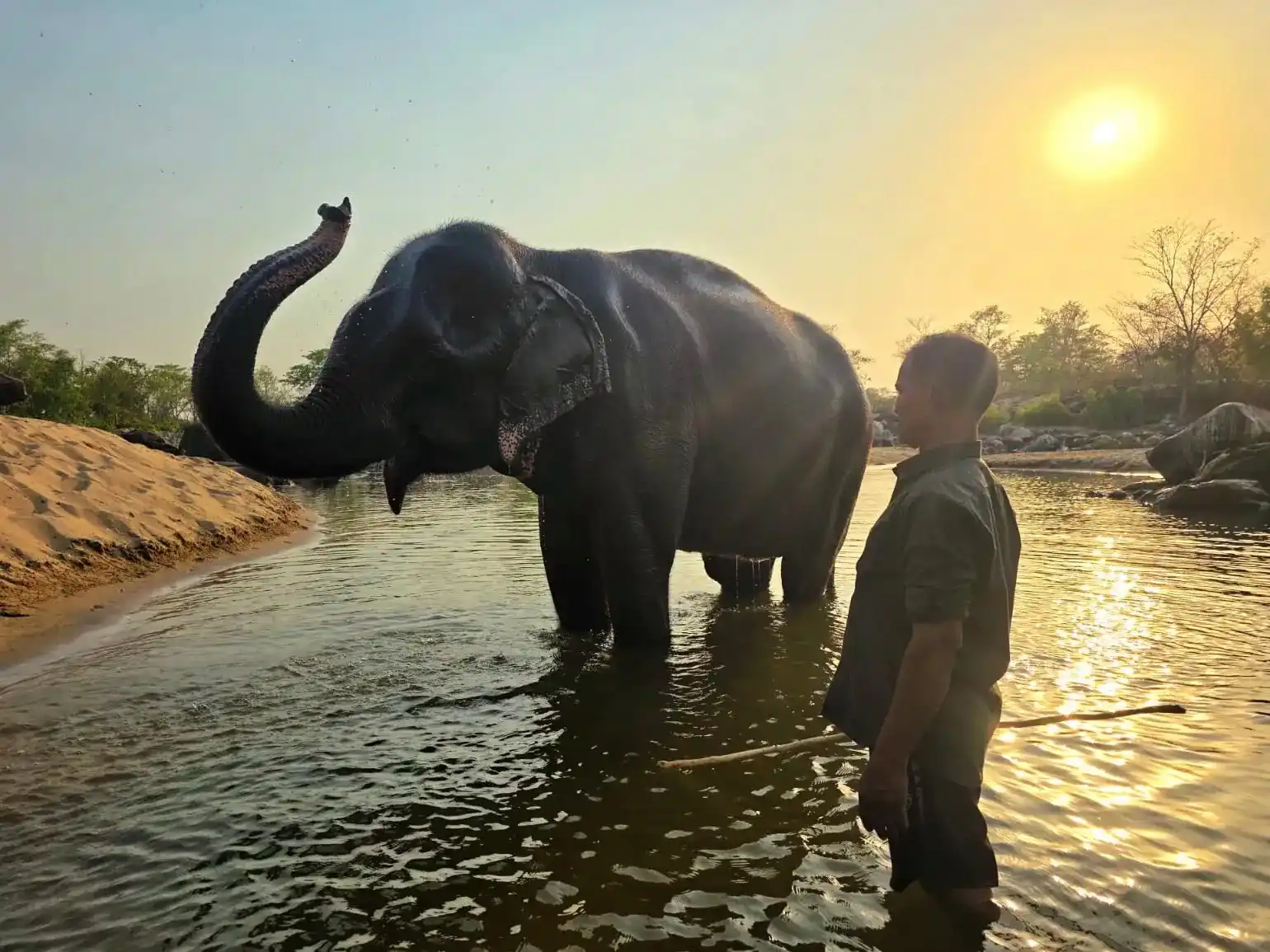 Elephants at the Elephant Pond in Kanha
